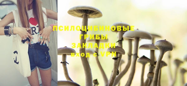 гидропоника Алзамай