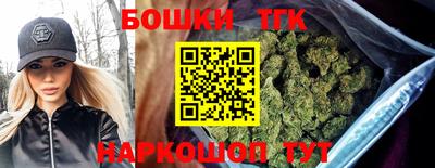 индика Беслан