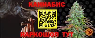 индика Беслан